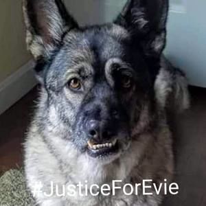 Meet your Posher, Jana